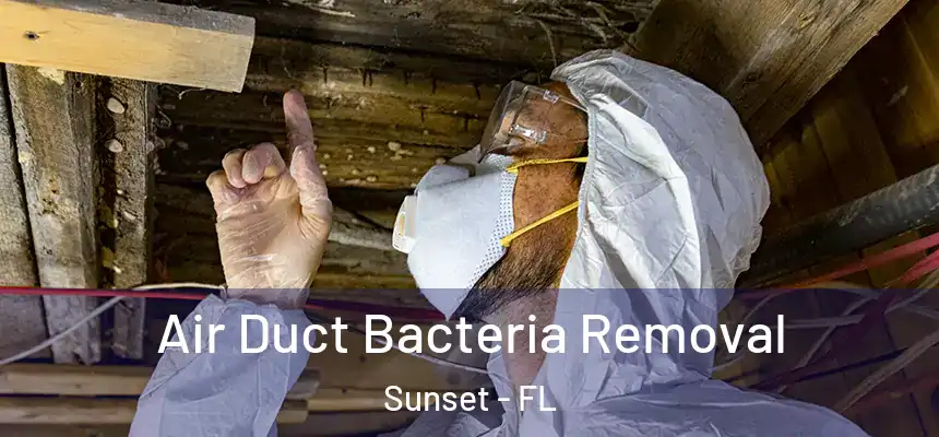 Air Duct Bacteria Removal Sunset - FL