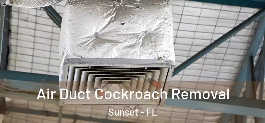 Air Duct Cockroach Removal Sunset - FL