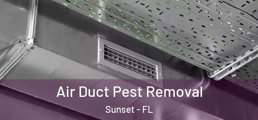 Air Duct Pest Removal Sunset - FL