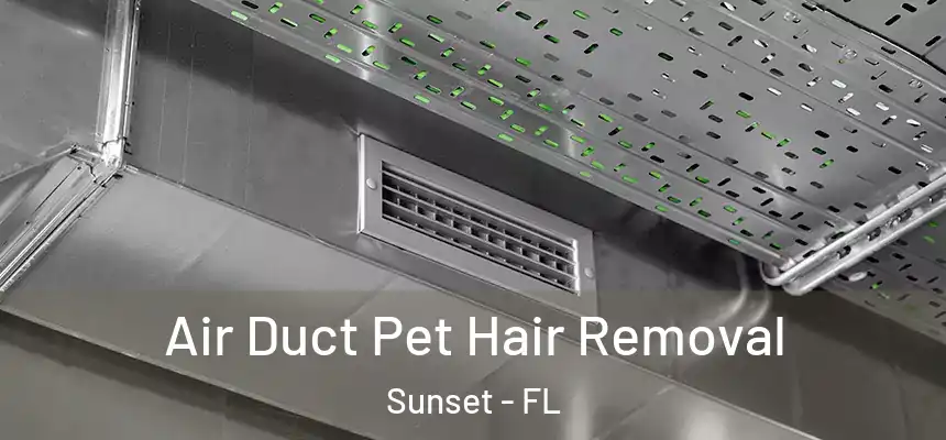 Air Duct Pet Hair Removal Sunset - FL