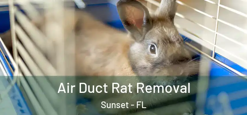 Air Duct Rat Removal Sunset - FL