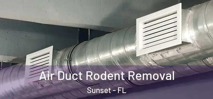 Air Duct Rodent Removal Sunset - FL