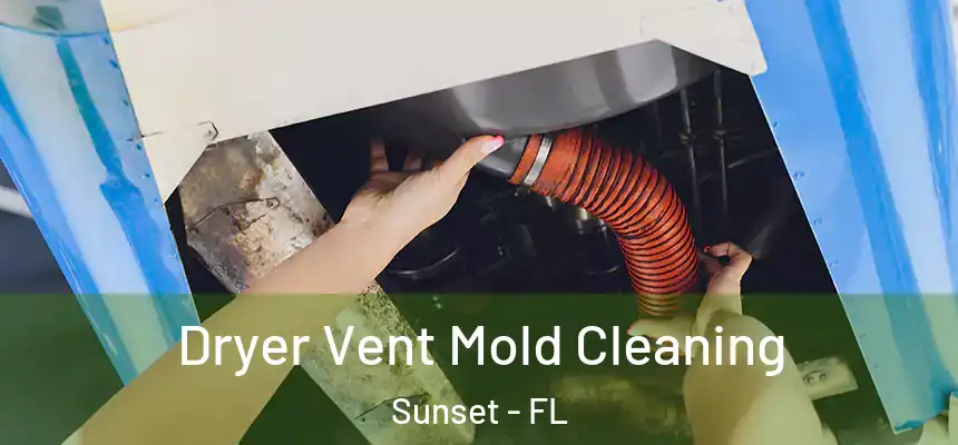 Dryer Vent Mold Cleaning Sunset - FL