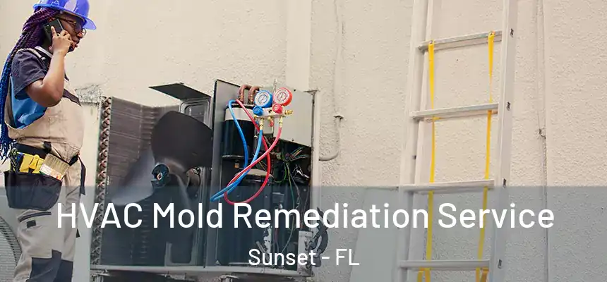 HVAC Mold Remediation Service Sunset - FL
