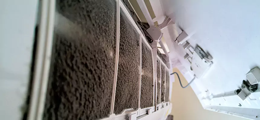 Preventive Air Duct Bacteria Removal in Sunset