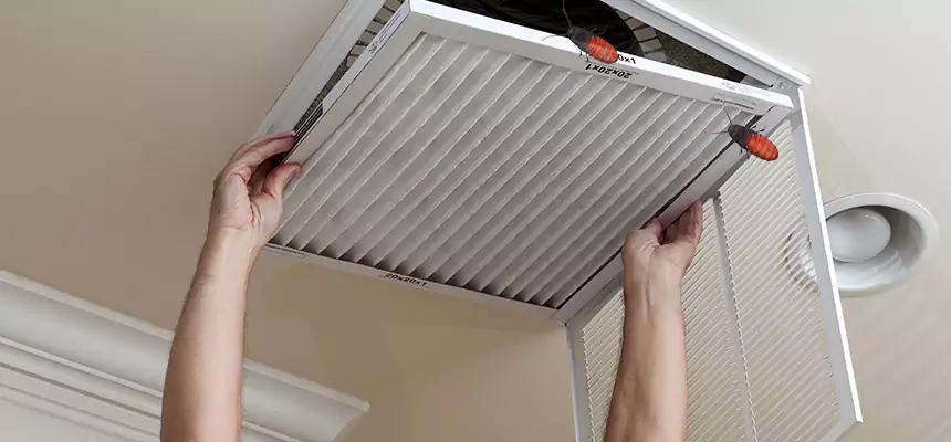 Preventive Cockroach-Proofing for Ducts in Sunset