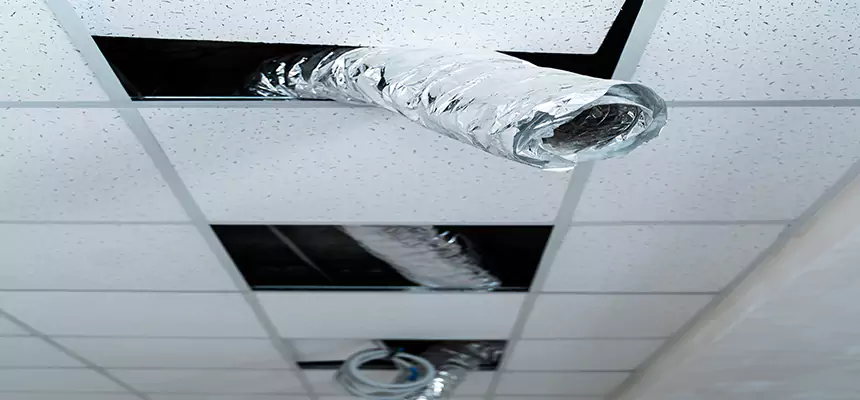 Affordable HVAC Sanitizing After Pest Removal in Sunset