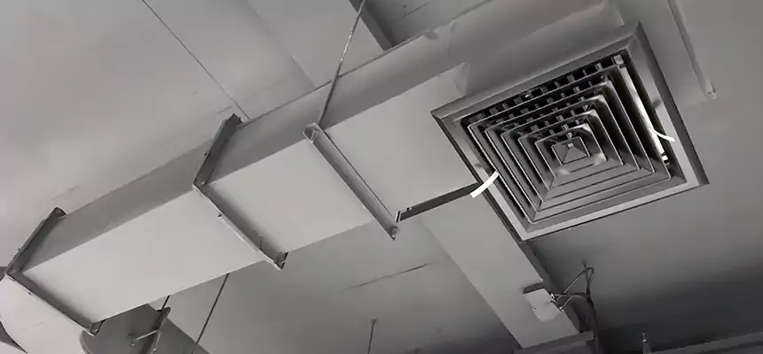 Restorative Allergy Relief Vent Cleaning – Coil, Blower & Housing Detail in Sunset