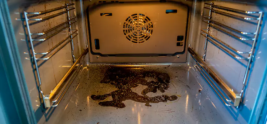 Our Dryer Vent Mold Cleaning Services in Sunset, FL