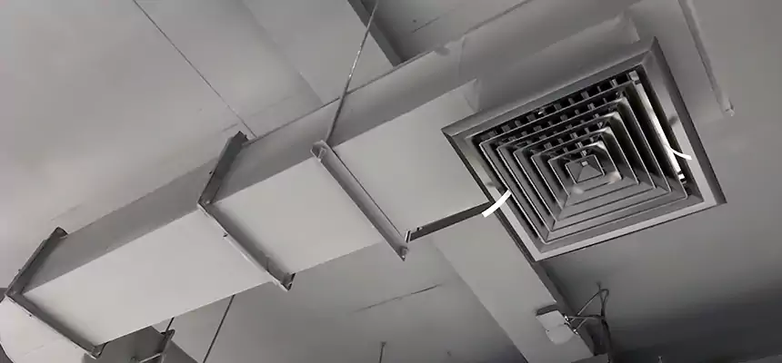 Our Pest Removal From Ducts Services in Sunset, FL