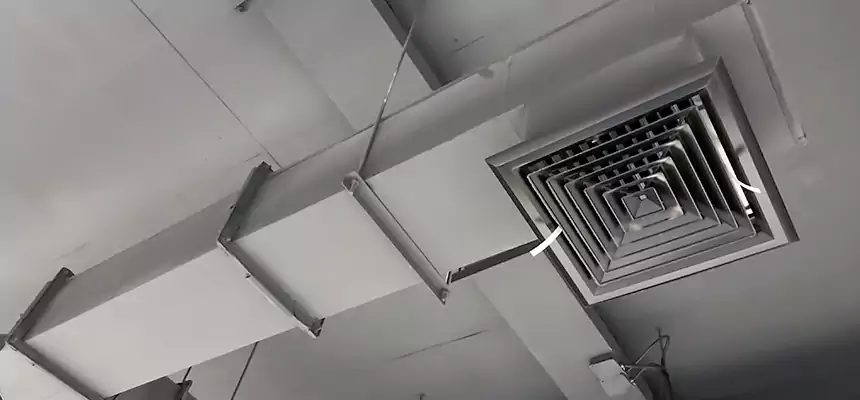 Our Rodent Droppings In Vents Services in Sunset, FL