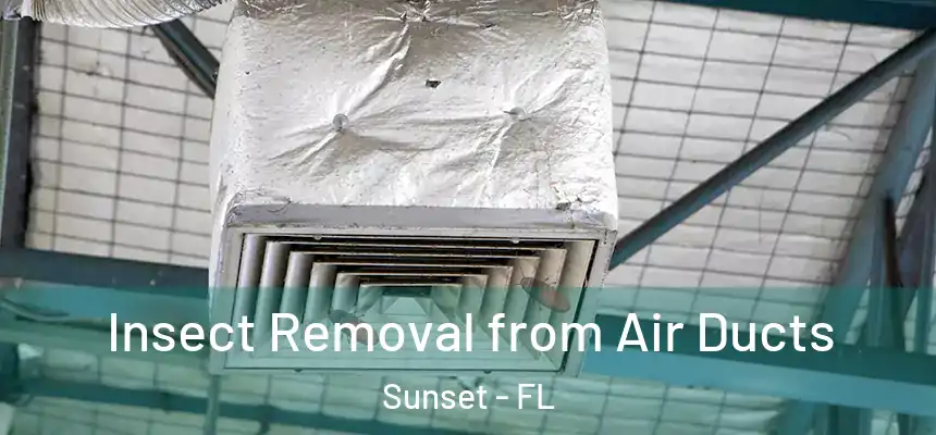 Insect Removal from Air Ducts Sunset - FL