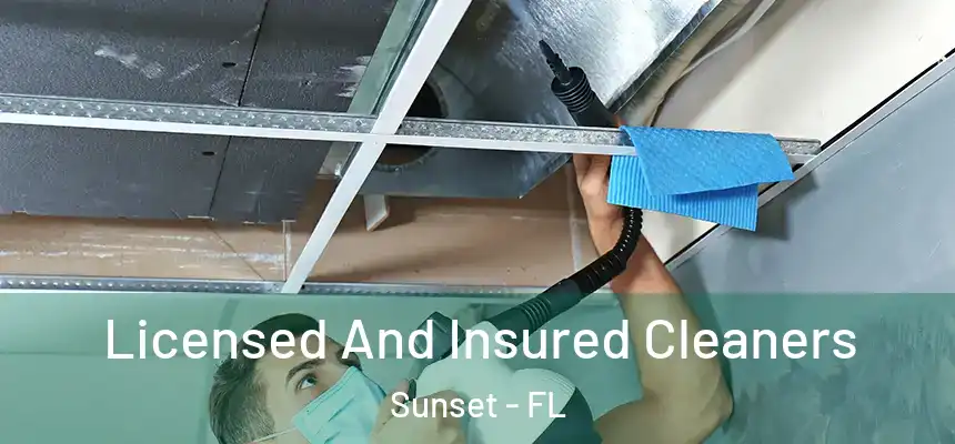 Licensed And Insured Cleaners Sunset - FL