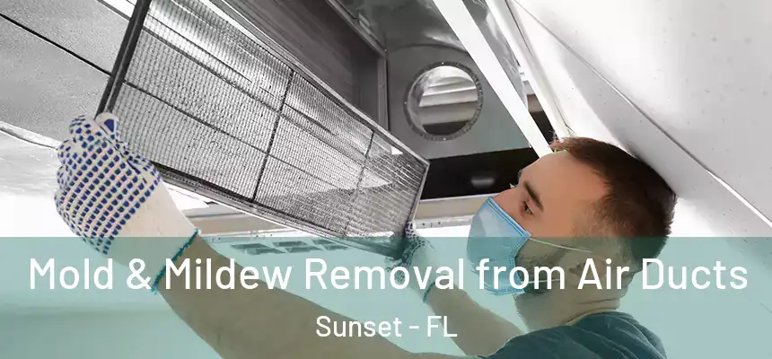 Mold & Mildew Removal from Air Ducts Sunset - FL