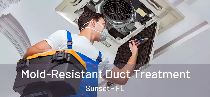 Mold-Resistant Duct Treatment Sunset - FL