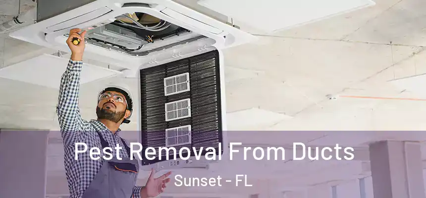 Pest Removal From Ducts Sunset - FL