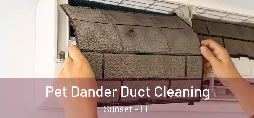 Pet Dander Duct Cleaning Sunset - FL