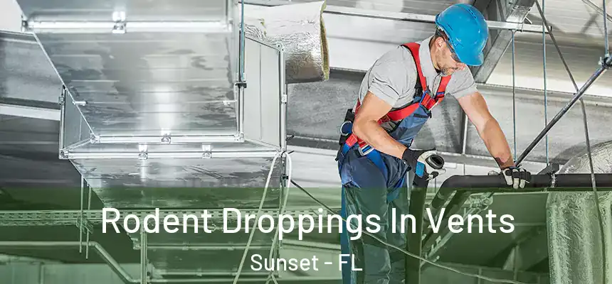 Rodent Droppings In Vents Sunset - FL