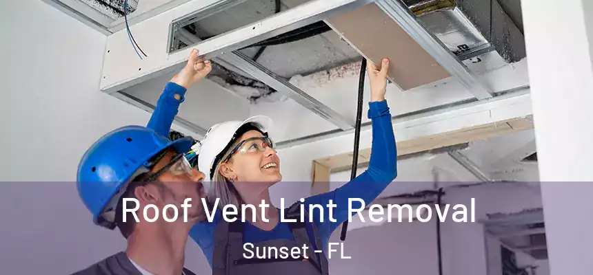 Roof Vent Lint Removal Sunset - FL