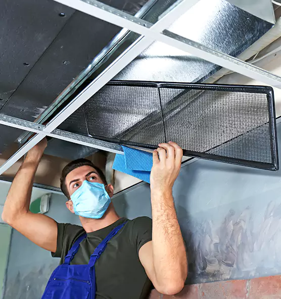About Air Duct Bacteria Removal in Sunset