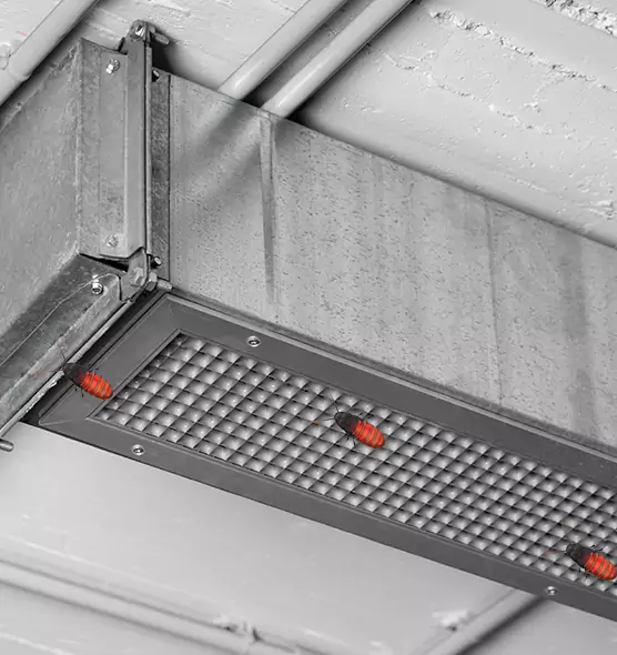 About Air Duct Cockroach Removal in Sunset, FL