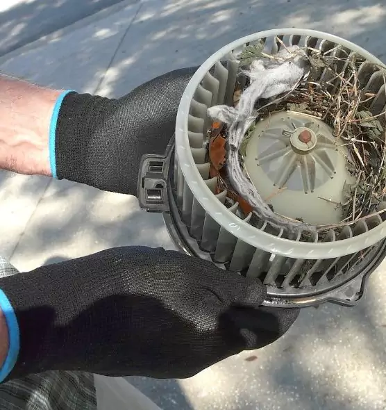 About Air Duct Mice Removal in Sunset, FL