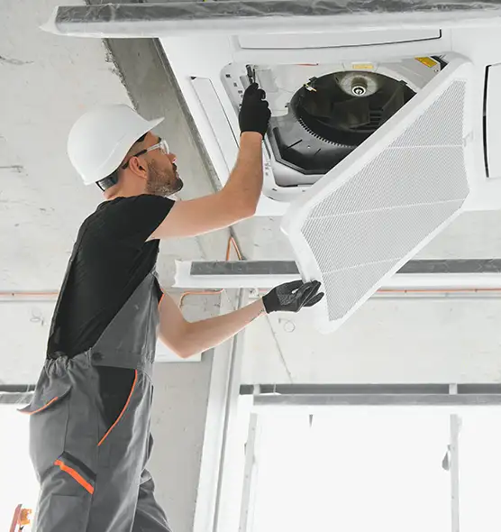 About Air Duct Rodent Removal in Sunset, FL